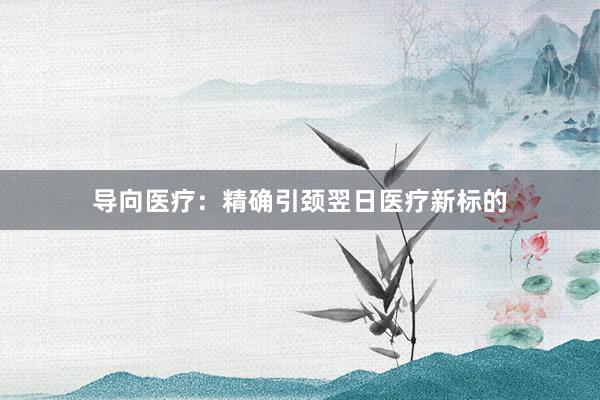导向医疗：精确引颈翌日医疗新标的